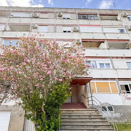 Deluxe Twin Sunshine *